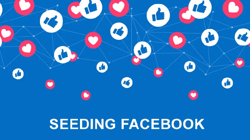 Seeding trên Fanpage lớn để tăng lượt theo dõi trên Facebook